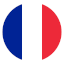 bandera de idioma seleccionado